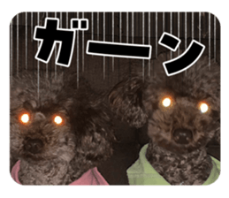 762828538