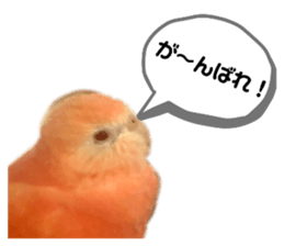 762829440
