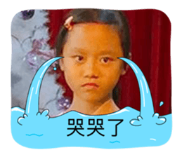 762830517