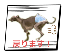 762830586
