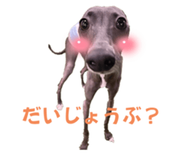 762830587