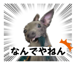 762830601
