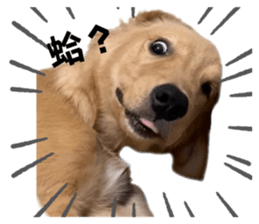 762830719