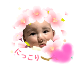 762836611