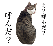 762837161