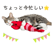 762837162