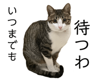 762837163