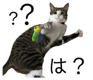 762837164