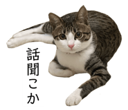 762837165