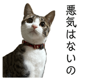 762837167