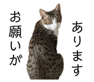 762837168