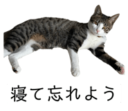 762837169