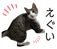 762837175