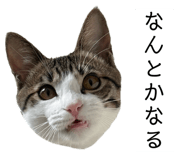762837176
