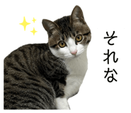 762837177