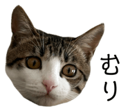 762837178