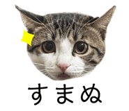 762837179