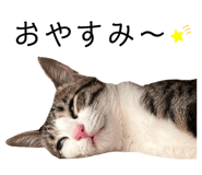 762837181