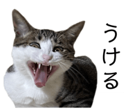762837182