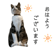 762837183