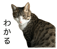 762837184