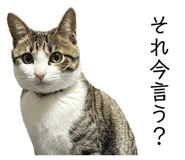 762837187