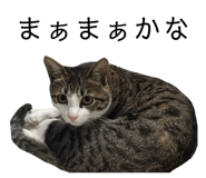 762837189