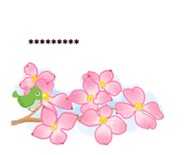 762837427
