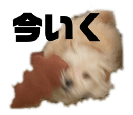 762837496