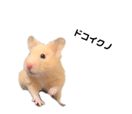 762842779