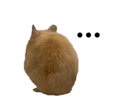 762842782