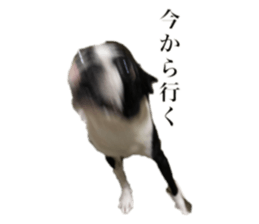 762843059