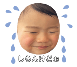 762843391