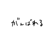762843556
