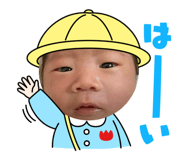 762862004