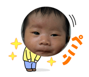 762862010