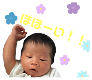762862017