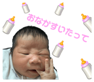 762862020