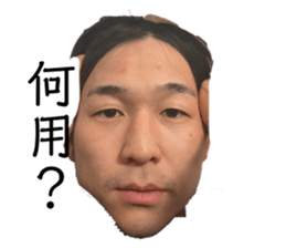 762867153