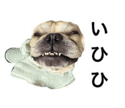 762868149