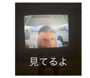 762883417