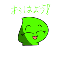 762907248