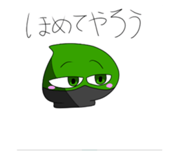 762907253