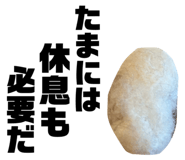 762907403
