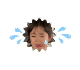 762920016