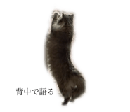 762939651