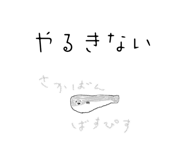 762946629