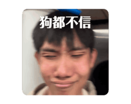 762946915