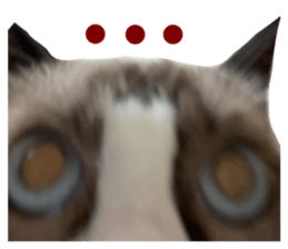762947935