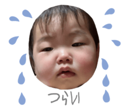 762956066